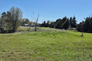 294 Co Rd 4683, Boyd, TX 76023 - Photo 3