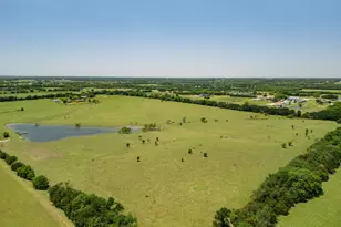 12099 Co Rd 1028, Blue Ridge, TX 75424 - Photo 33