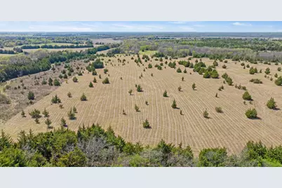 Tbd Lot 2 County Road 43380, Paris, TX 75462 - Photo 5