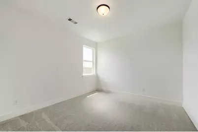 3316 Maidenhair Lane, Celina, TX 75009 - Photo 19