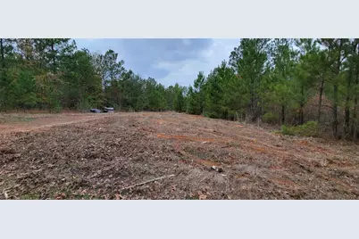 0 Jewell Gooch Road, Marshall, TX 75670 - Photo 7