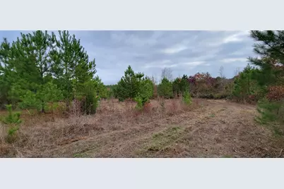 0 Jewell Gooch Road, Marshall, TX 75670 - Photo 5