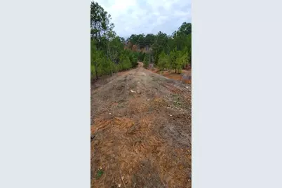 0 Jewell Gooch Road, Marshall, TX 75670 - Photo 9