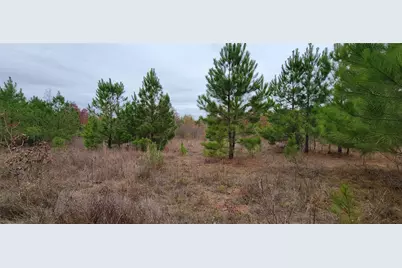 0 Jewell Gooch Road, Marshall, TX 75670 - Photo 1