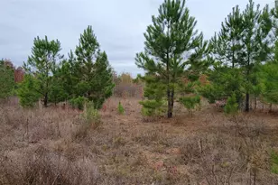 0 Jewell Gooch Rd, Marshall, TX 75670 - Photo 1