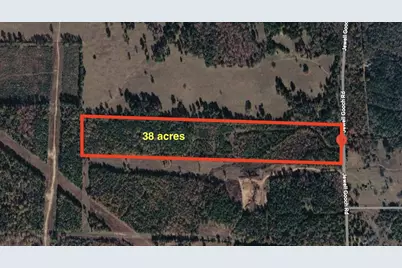 0 Jewell Gooch Road, Marshall, TX 75670 - Photo 13