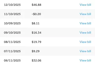 706 Spur Ridge, Princeton, TX 75407 - Photo 5