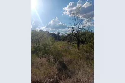 0 Shady Oaks Drive #7A, Bridgeport, TX 76426 - Photo 3