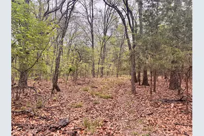 656 County Road 2680, Bonham, TX 75418 - Photo 5