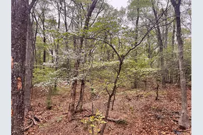 656 County Road 2680, Bonham, TX 75418 - Photo 3