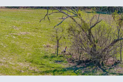 2474 County Road 371, Dublin, TX 76446 - Photo 33