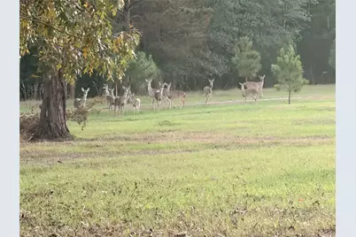 10227 County Road 4101, Frankston, TX 75763 - Photo 39