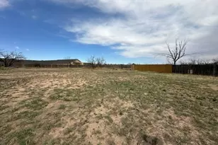 2204 Carl St, Big Spring, TX 79720 - Photo 5