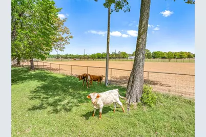 260 Vz County Road 3531, Edgewood, TX 75117 - Photo 39