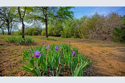Tbd Storey Road, Nocona, TX 76255 - Photo 5