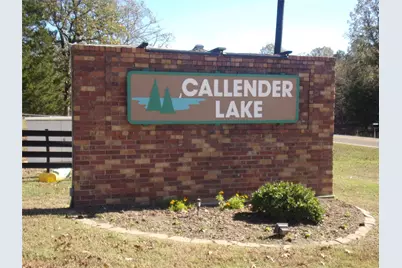 105 & 119 Huntley Creek, Murchison, TX 75778 - Photo 11