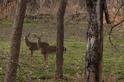 377 County Road 2530, Meridian, TX 76665 - Photo 7