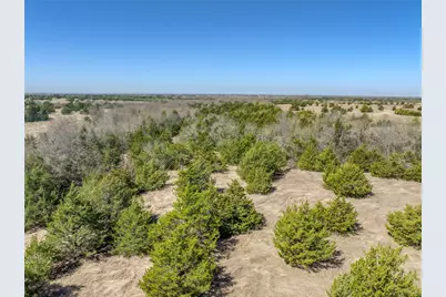 Tract 5 County Road 2935, Dodd City, TX 75438 - Photo 11