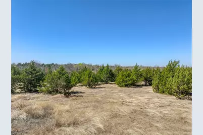 Tract 5 County Road 2935, Dodd City, TX 75438 - Photo 7
