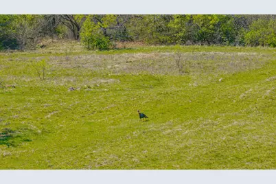 2474 Cr 371, Dublin, TX 76446 - Photo 29