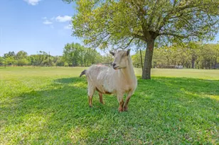 7142 S Fm 148, Kaufman, TX 75142 - Photo 35