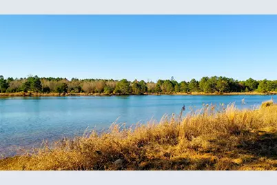 Tbd Hwy 49, Jefferson, TX 75657 - Photo 9