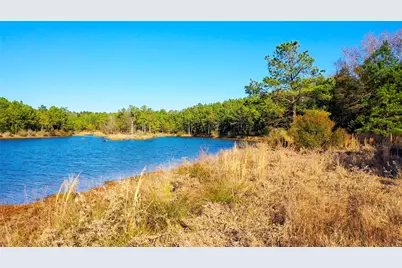 Tbd Hwy 49, Jefferson, TX 75657 - Photo 3