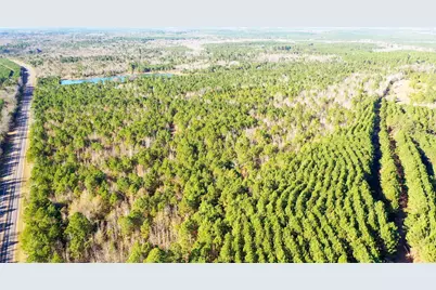 Tbd Hwy 49, Jefferson, TX 75657 - Photo 37