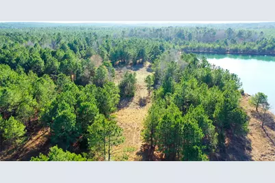 Tbd Hwy 49, Jefferson, TX 75657 - Photo 11