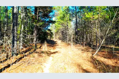 Tbd Hwy 49, Jefferson, TX 75657 - Photo 5