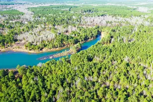 Tbd Hwy 49, Jefferson, TX 75657 - Photo 1