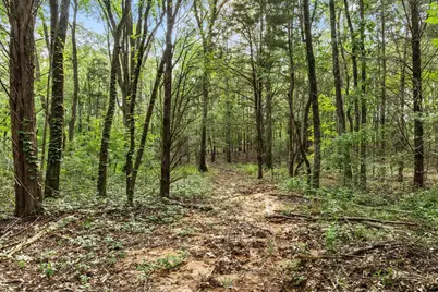 0000 Cr 2680, Bonham, TX 75418 - Photo 29