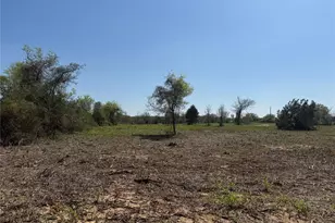 Tbd Lot 5 County Road 3855, Poolville, TX 76487 - Photo 1
