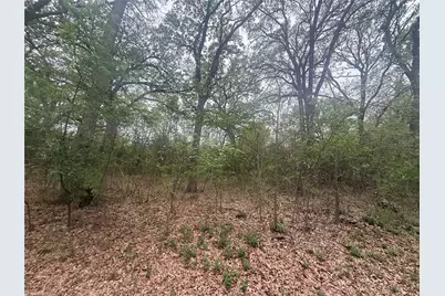 000 County Road  4205, Bonham, TX 75418 - Photo 9