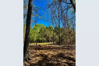 0800 Cr-2765, Honey Grove, TX 75446 - Photo 5