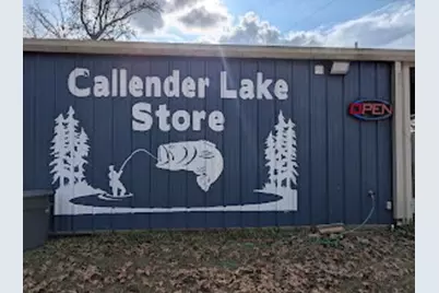 Tbd Broad Meadow, Murchison, TX 75778 - Photo 33