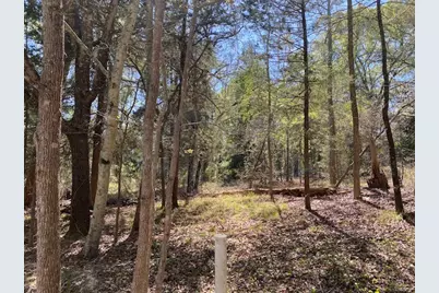 Tbd Broad Meadows, Murchison, TX 75778 - Photo 1