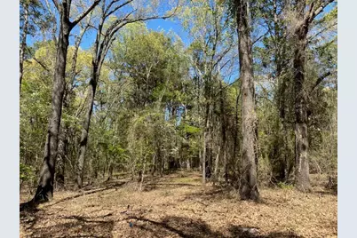 Tbd Broad Meadow, Murchison, TX 75778 - Photo 3