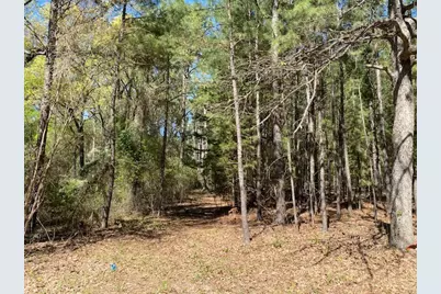 Tbd Armadillo Drive, Murchison, TX 75778 - Photo 1