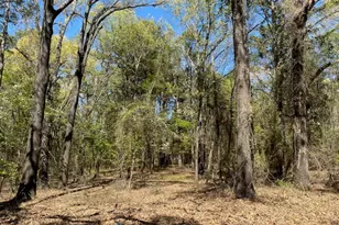 Lots 33 & 34 Armadillo Dr, Murchison, TX 75778 - Photo 1