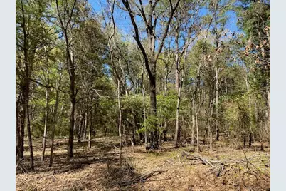 Lots 30-34 Armadillo Drive, Murchison, TX 75778 - Photo 1