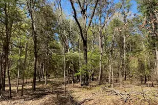 Lots 30-34 Armadillo Dr, Murchison, TX 75778 - Photo 1