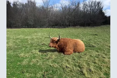 4081 Fm 2736, Campbell, TX 75422 - Photo 39