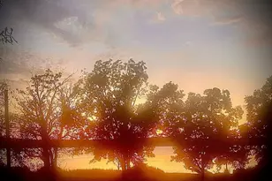 16340 County Road 4256 S, Henderson, TX 75654 - Photo 33