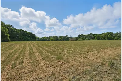 699 W Wintergreen Road, DeSoto, TX 75115 - Photo 13