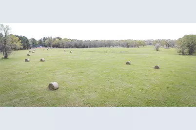 Tbd Fm 773, Murchison, TX 75778 - Photo 9