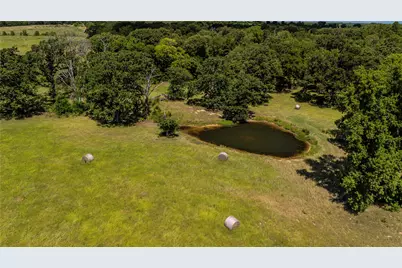 Tbd Fm 773, Murchison, TX 75778 - Photo 11