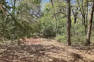 533 Lcr 721, Kosse, TX 76653 - Photo 11