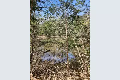 533 Lcr 721, Kosse, TX 76653 - Photo 17