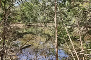 533 Lcr 721, Kosse, TX 76653 - Photo 17